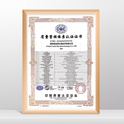 質量管理體系認證證書